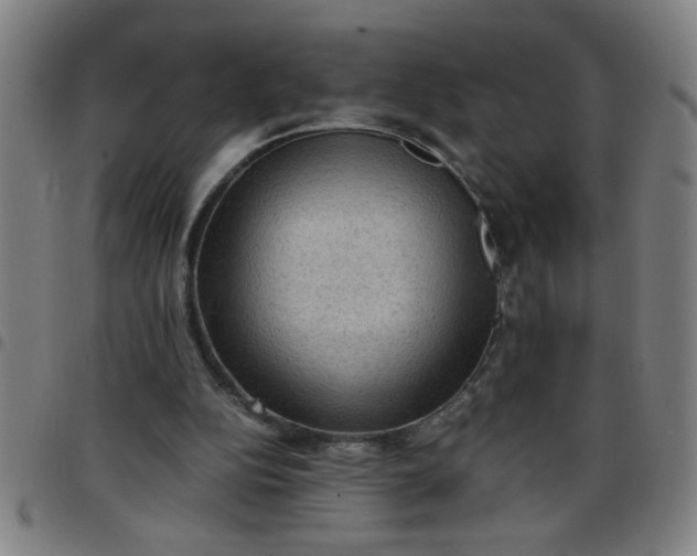 X0000097460152200803071639