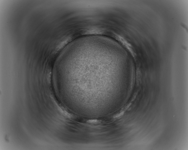 X0000097460153200803071639