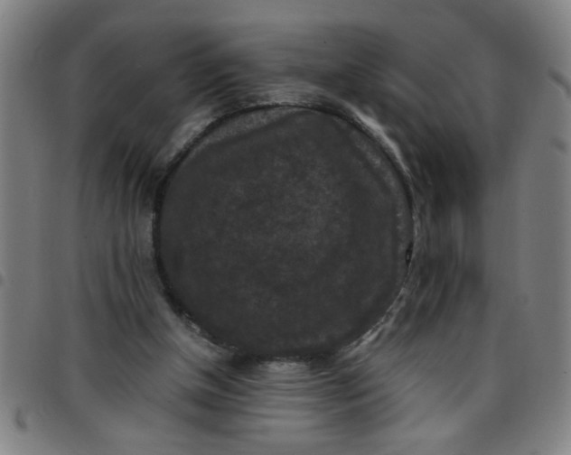 X0000097460154200803071639