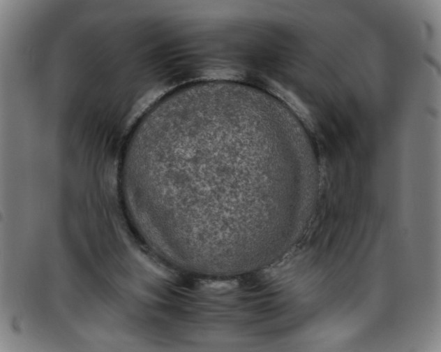 X0000097460155200803071639