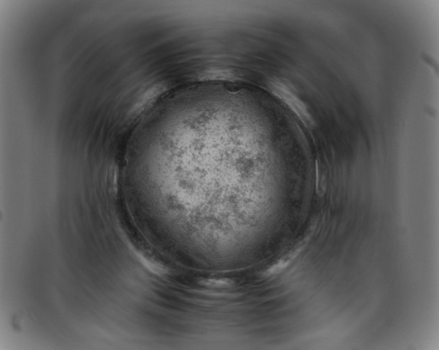 X0000097460157200803071639