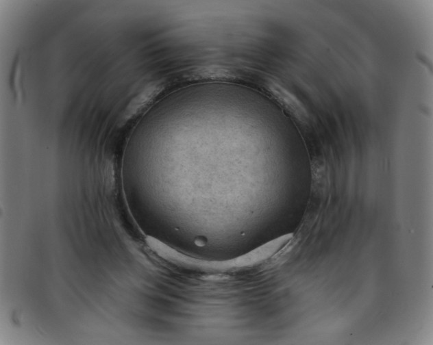 X0000097460158200803071639