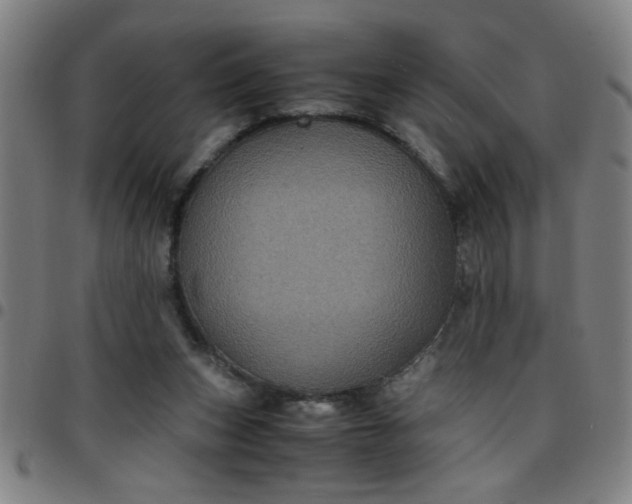 X0000097460159200803071639