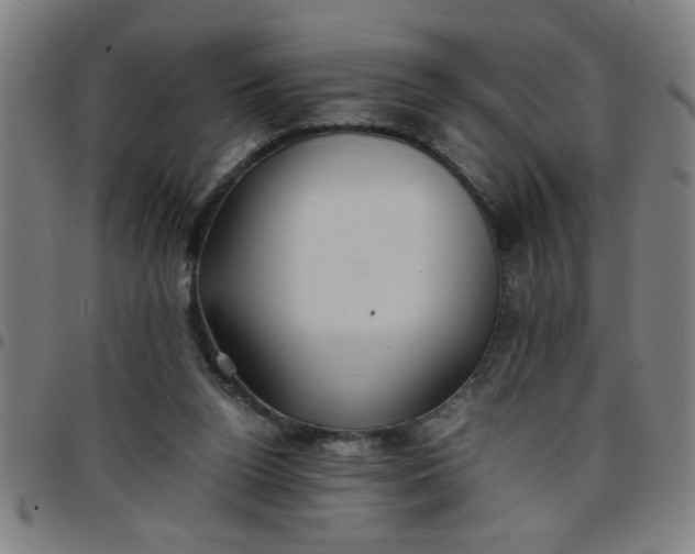 X0000097460160200803071639