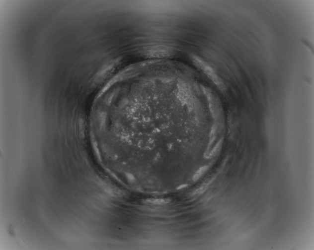 X0000097460161200803071639