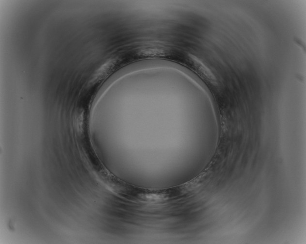 X0000097460163200803071639