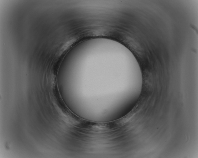 X0000097460164200803071639