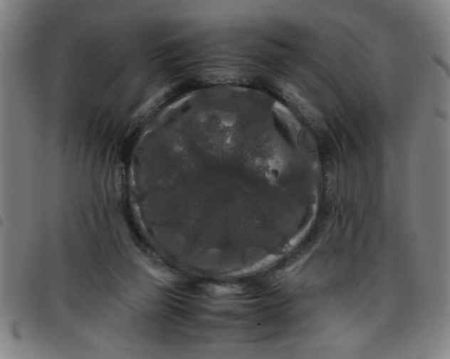 X0000097460165200803071639