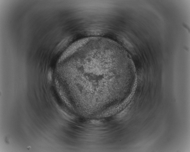 X0000097460166200803071639