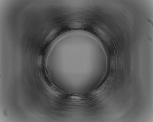 X0000097460167200803071639