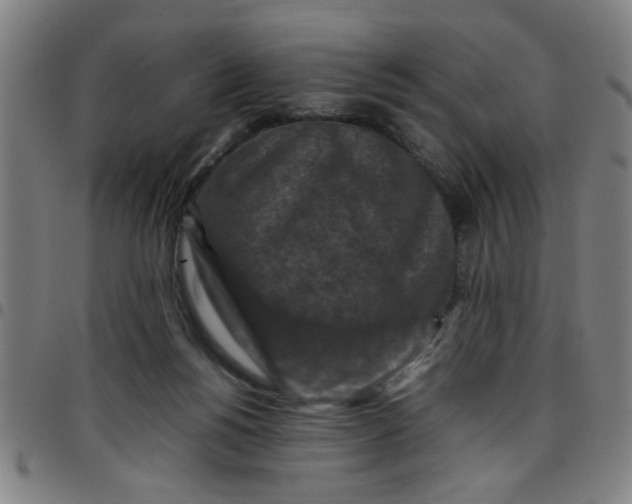 X0000097460168200803071639