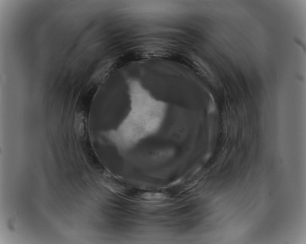 X0000097460169200803071639