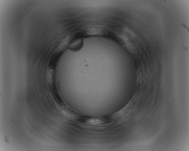 X0000097460171200803071639