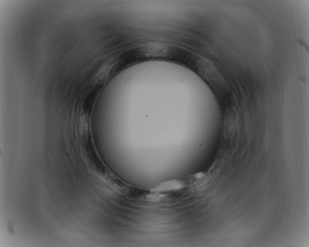 X0000097460172200803071639