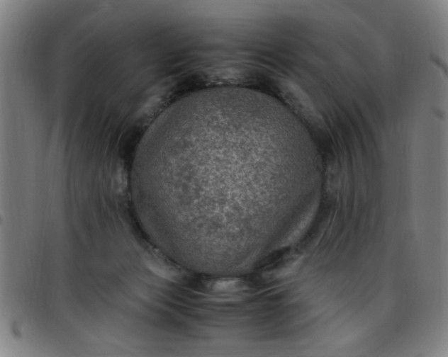 X0000097460173200803071639