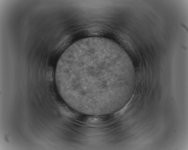 X0000097460174200803071639