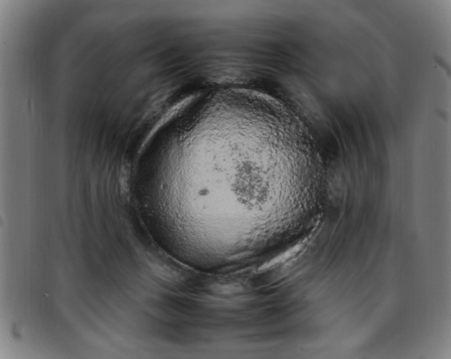 X0000097460175200803071639