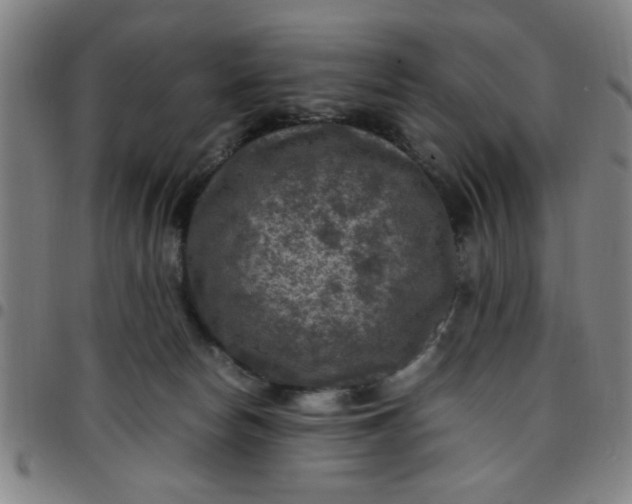 X0000097460178200803071639