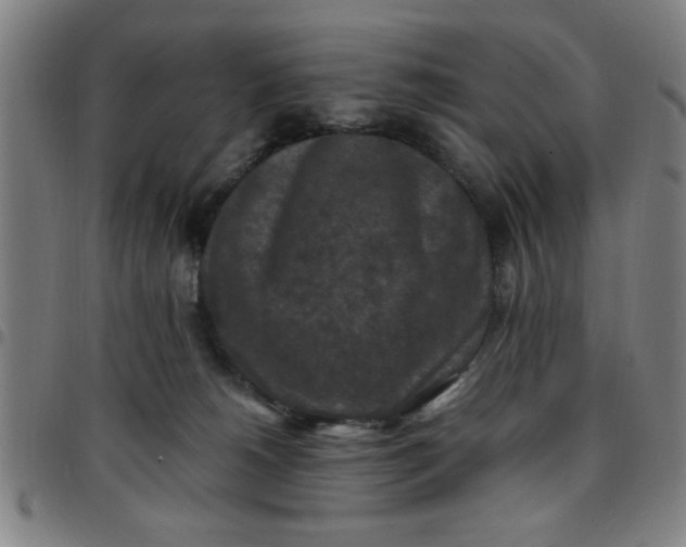 X0000097460180200803071639