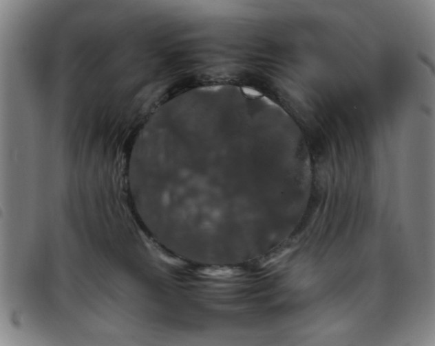 X0000097460181200803071639