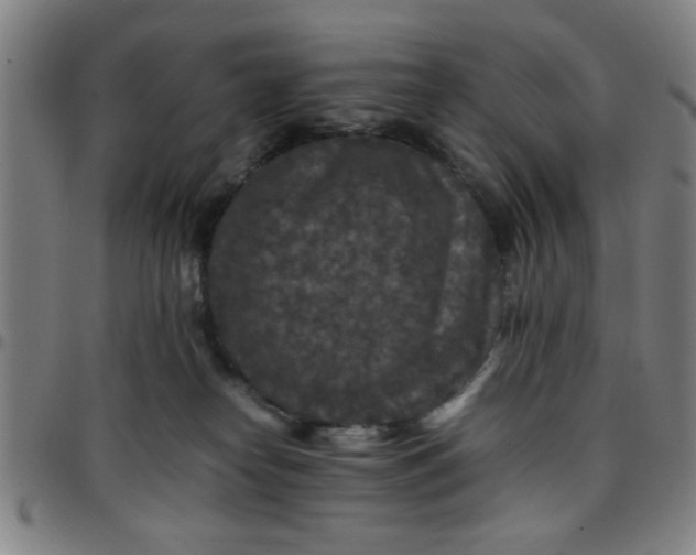 X0000097460182200803071639