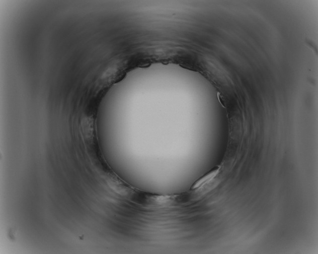 X0000097460184200803071639