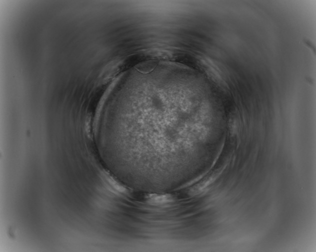 X0000097460185200803071639