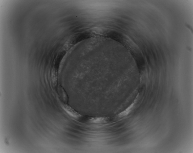 X0000097460186200803071639