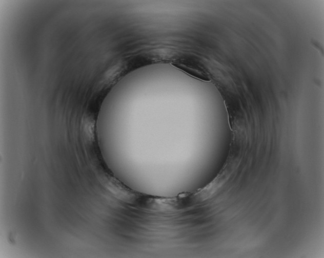 X0000097460188200803071639