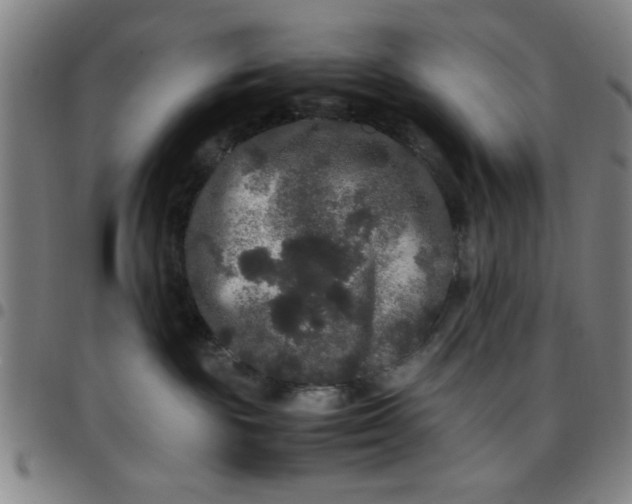 X0000097460189200803071639