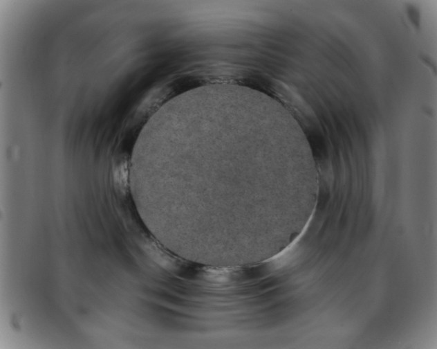 X0000097460190200803071639