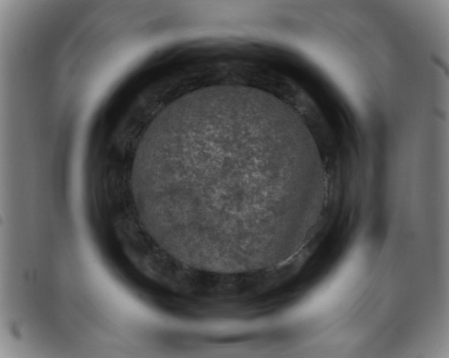 X0000097460191200803071639