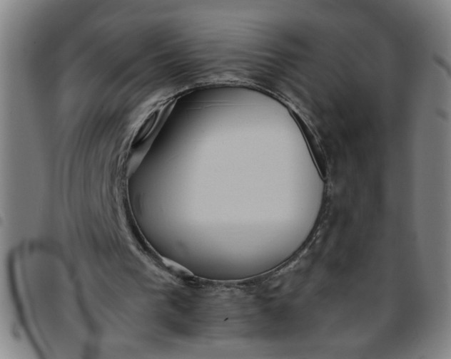 X0000097460193200803071639