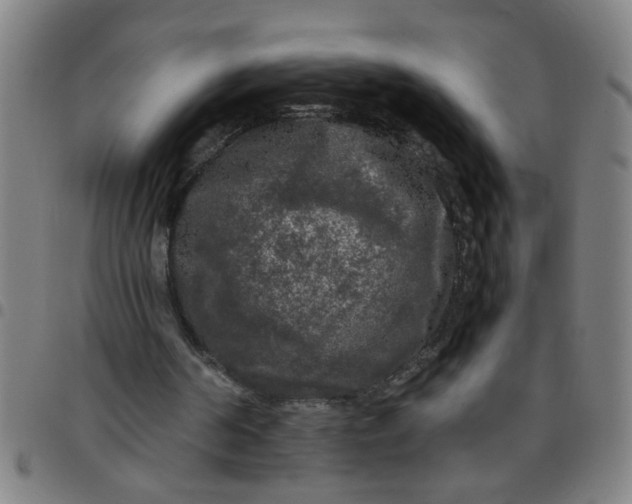 X0000097460194200803071639