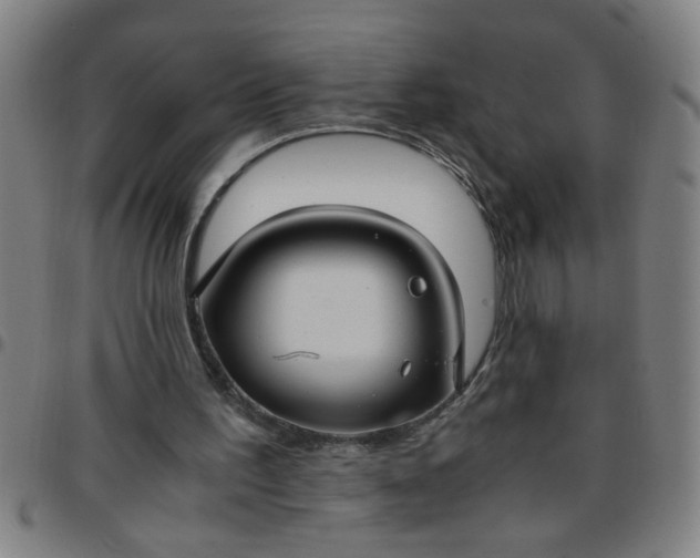 X0000097460195200803071639