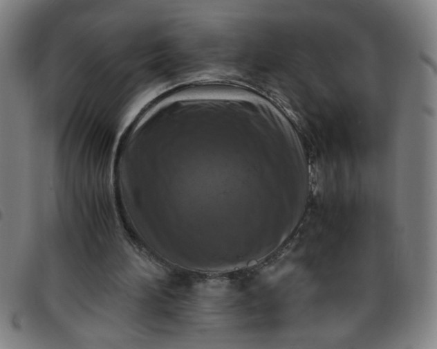 X0000097460196200803071639