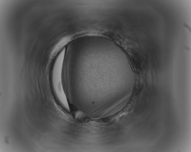 X0000097460197200803071639