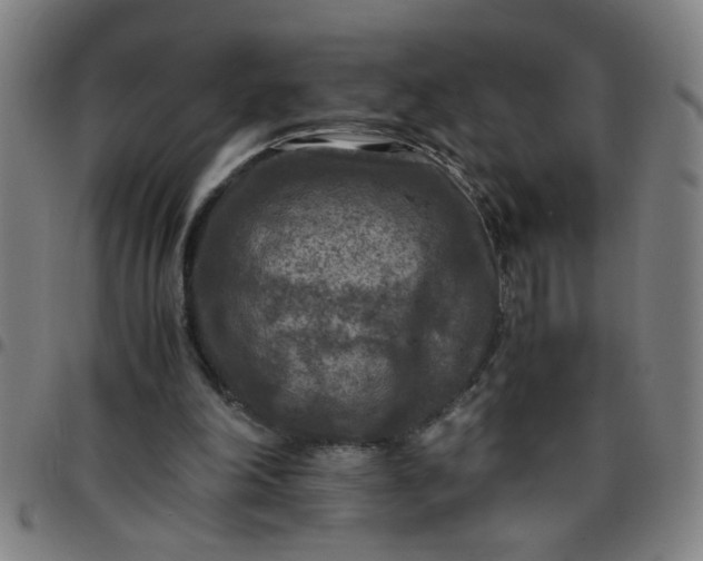 X0000097460198200803071639