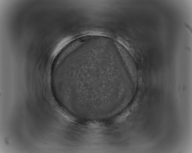 X0000097460199200803071639