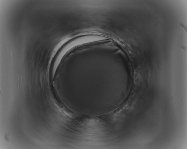 X0000097460200200803071639