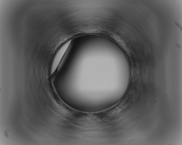 X0000097460201200803071639