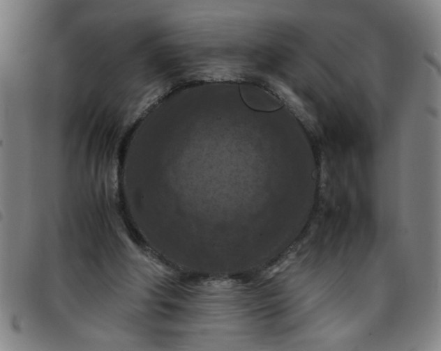 X0000097460202200803071639