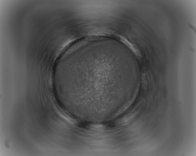 X0000097460203200803071639