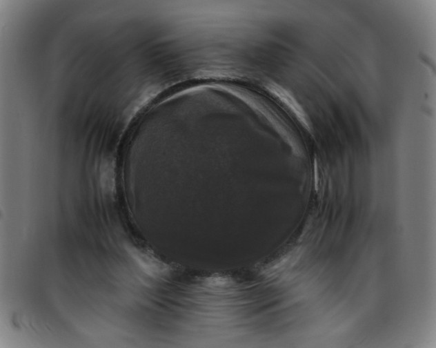 X0000097460204200803071639