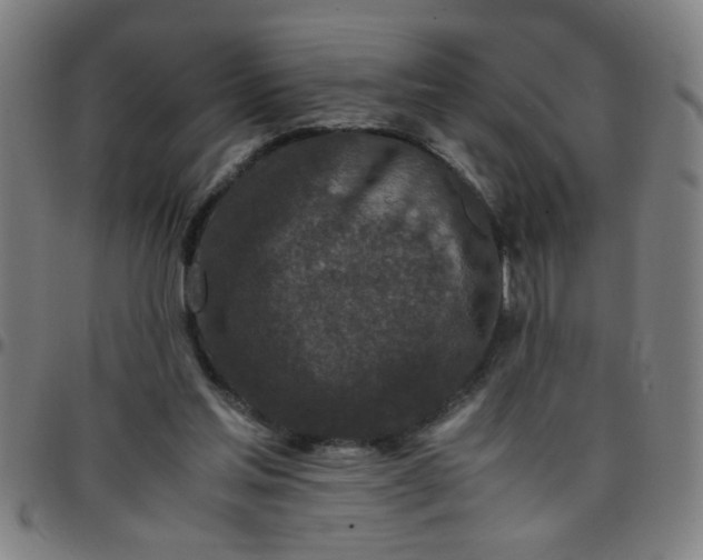 X0000097460205200803071639