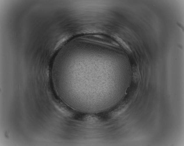 X0000097460207200803071639