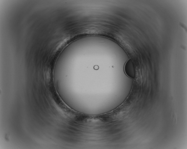 X0000097460208200803071639