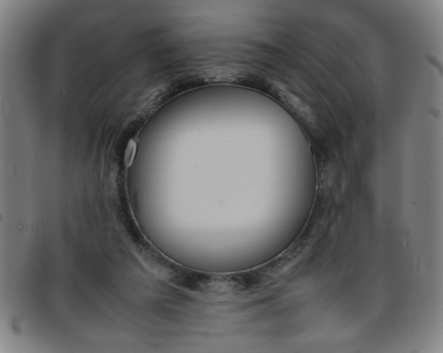 X0000097460209200803071639