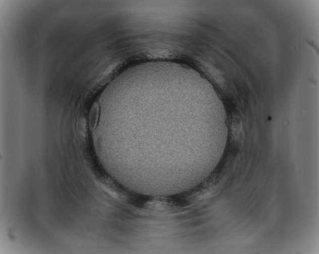 X0000097460211200803071639