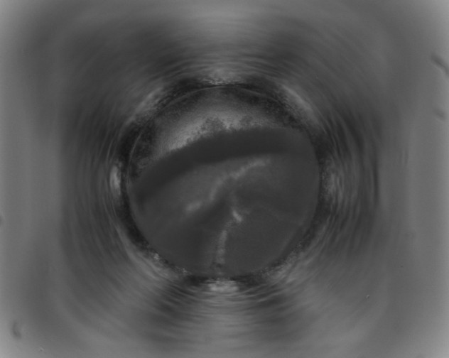 X0000097460214200803071638